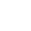 fleet